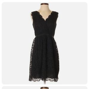 LOFT Black Lace Scalloped Lace Sleeveless Dress